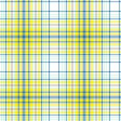 Colourful Plaid textured Seamless Pattern