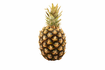 Sluggish pineapple isolated on white background.