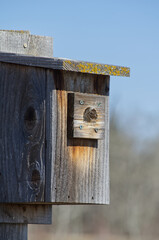 Close up of a Birdhouse