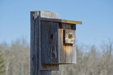 Close up of a Birdhouse
