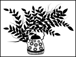 CARNATION TRANSPARENT BACKGROUND