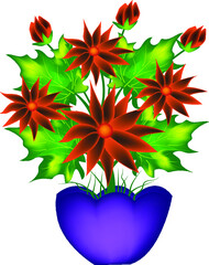 CARNATION TRANSPARENT BACKGROUND