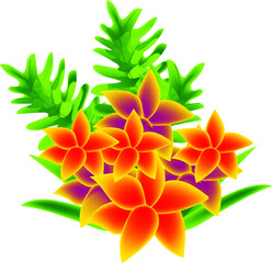 CARNATION TRANSPARENT BACKGROUND