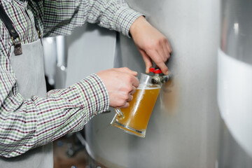 A young bearded brewer conducts quality control of freshly brewed beer in the brewery.