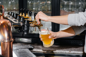 Close-up of the bartender filling a mug of light beer. The bar counter in the pub.