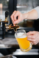 Close-up of the bartender filling a mug of light beer. The bar counter in the pub.