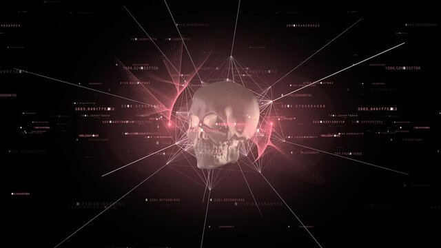 Rotation of the shining skull with particles, plexus and numbers.