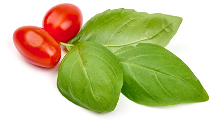 Fresh organic basil leaves, close-up, isolated on white background. High resolution image