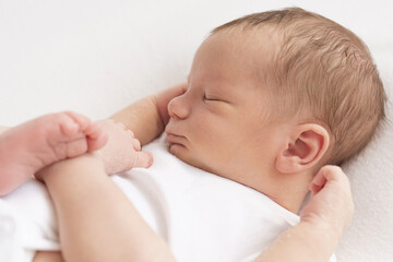 newborn baby portrait