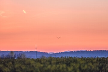 Fototapeta premium Sendemast