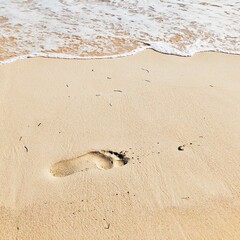 Fresh human footprints in the sand. Wave with sea foam. Walk along a tropical beach on a sunny day. Shore by the sea or ocean.  The concept of rest, relaxation, health improvement. 