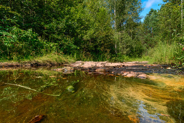 A ford across the river in the forest