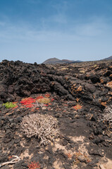 Paysage de l'ile volcanique de Lanzarote avec les concressions de laves, la mer , les cories, et les volcans &agrave; l'horizon au milieu de l' ocean atlantique