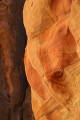 The beautiful rocks of Petra
