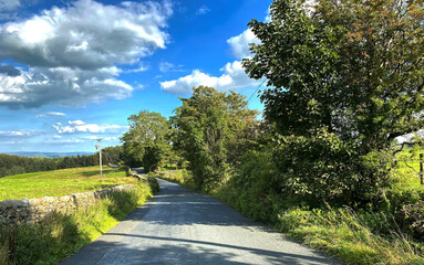 Looking down, Becks Brow, with dry stone walls, trees, and fields, on a sunny day in, Wigglesworth, Skipton, UK