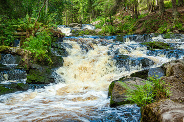 A small waterfall in the northern forest of Karelia