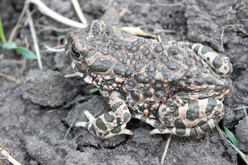 Nature, flowers, landscapes, sky, sun, all the most beautiful.