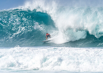 north shore surfer