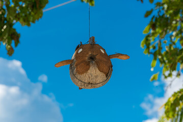 Flying fish carved from a coconut hangs as a wind chime on the beach of the small island of Poyalisa on the Togian Islands in Sulawesi, Indonesia