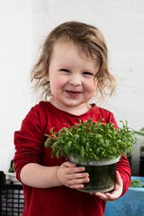 Funny little girl in red holds a pot of green seedlings in her hands. Gardening and planting in spring