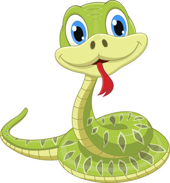 Cartoon cute green snake on white background