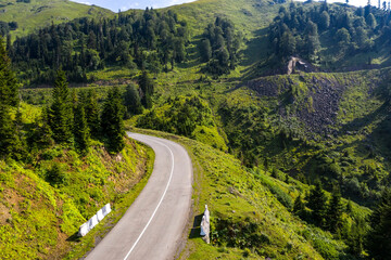 Asphalt road among the forest view from the drone