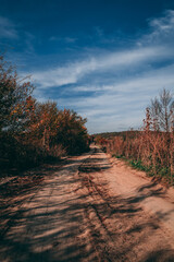 Amazing autumn colors, forest, mountains