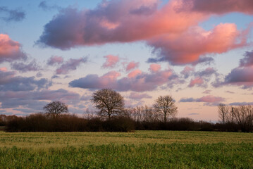 Fototapeta na wymiar Rosa Wolken Landschaft