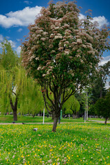 Central Park in the city of Batumi, Adjara, Georgia
