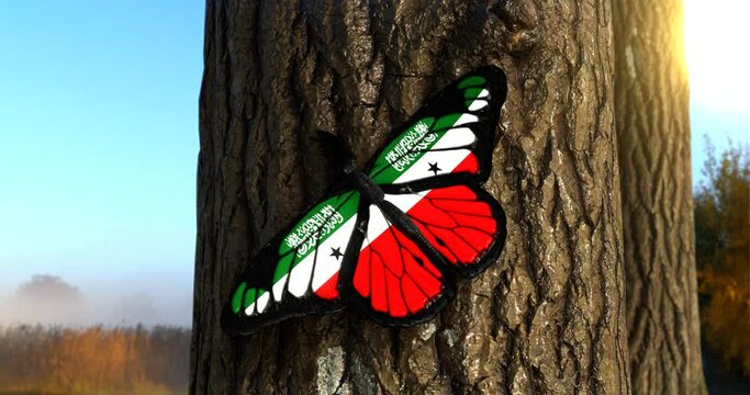 Flag of Somaliland on Butterfly Wings Realistic 4K UHD 60FPS