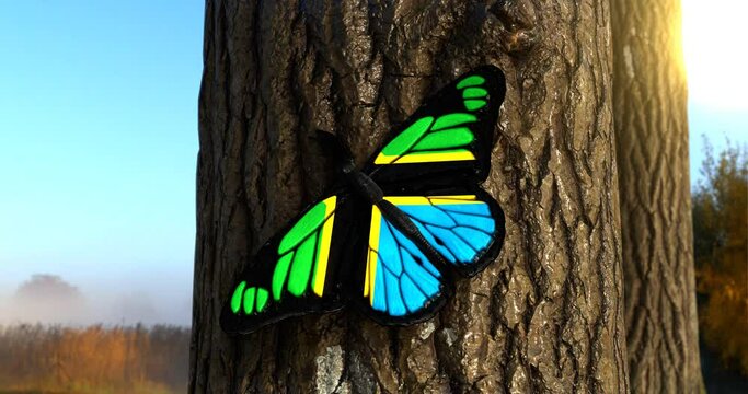 Flag of Tanzania on Butterfly Wings Realistic 4K UHD 60FPS