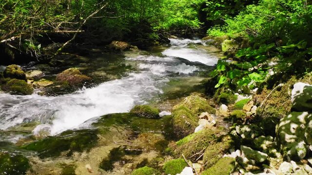 Crna rijeka stream with the rapids  and rocks covered by moss, Plitvice Lakes, Croatia