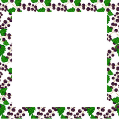 Card with black currant frame. Colorful border with fresh berries on a white background with place for text. For use in menus, napkins, records, restaurants and cafes, print prints and other designs