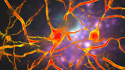 Neurons of Dorsal striatum, 3D illustration. Dorsal striatum is a nucleus in the basal ganglia