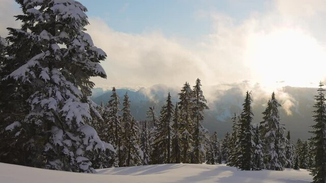 Panoramic View of Canadian Nature Landscape on top of snow covered mountain and green trees during spring sunset. Taken at Elfin Lake in Squamish, North of Vancouver, British Columbia, Canada.
