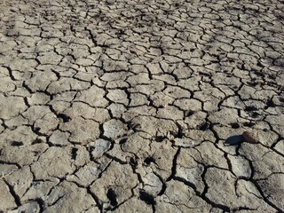Dry dam in Botswana after a drought in summer