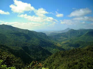 Fototapeta na wymiar lush and tropical landscape of Mauritius island