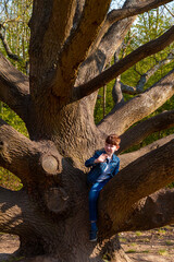 A Boy Wearing Blue Jeans Climbing On A Bare Tree