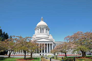 Olympia, Washington state capitol building wide angle landscape view, with bright blue sky and flowering trees in springtime.