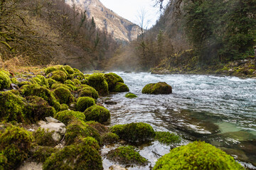 Mountain river Yupshara. A cold mountain river with a rapid current in the gorge. Green moss stones on the shores. Caucasus. Abkhazia.