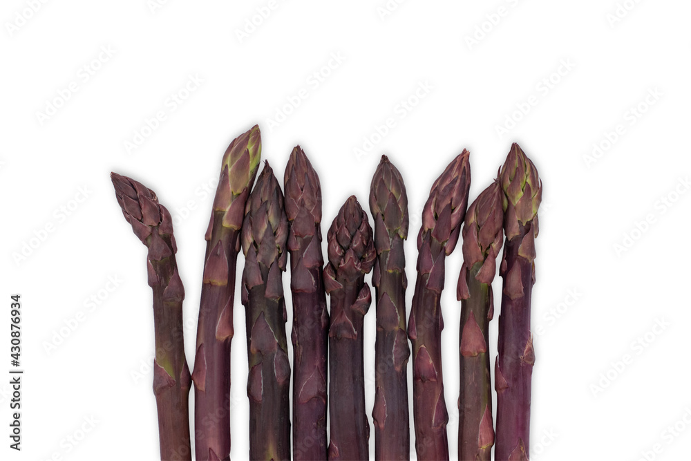 Wall mural Purple asparagus isolated on white background. Fresh vegetables.