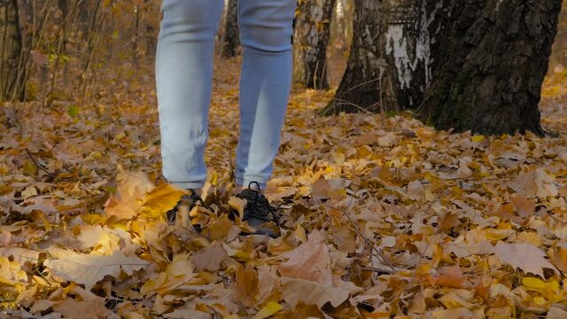 Slow motion: woman legs in blue jeans, black sneakers walking on road with orange fallen leaves in autumn park, forest - close up, low angle steadicam shot. Active outdoor lifestyle, freedom concept