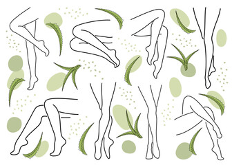 Silhouette Collection of human legs. Aloe leaves in modern style with one line with plant leaves. Solid sketches of decor, posters, stickers, logo. Set of vector illustrations.