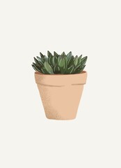 cactus in flowerpot. Succulent plants. Poster design. Flower in a pot isolated 
