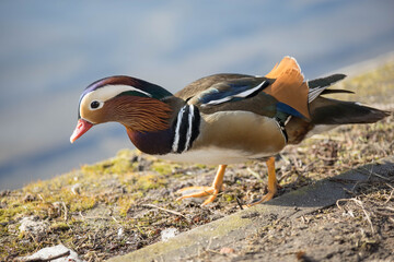 Zb. Milewski @zibitravelman © Zbigniew