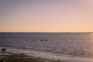 Fototapeta na wymiar Cordoba Mar Chiquita Argentina Lagoon and Flamingos