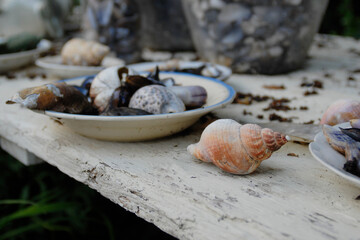 Tisch Dekoration Land Art Küste 