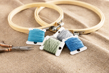 Embroidery Floss with Hoops on Linen