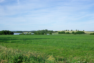 Fototapeta premium Landscape with green grass and blue sky