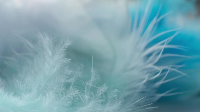 Light fluffy a white feathers abstract background. Macro, Close up. selective focus, blurred focus. slow motion video stock footage.